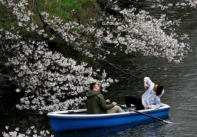 일본 도쿄의 고쿄(皇居, 일왕 거주지) 주변 해자에 조성된 지도리가후치 공원에서 관광객들이 보트를 타고 벚꽃놀이를 즐기고 있다. 사진=연합뉴스
