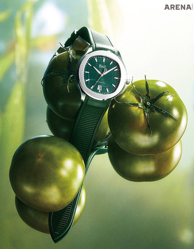 폴로 필드 워치 42mm 1840만원.