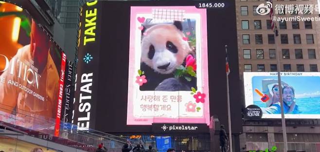 뉴욕 타임스퀘어 전광판에 걸린 푸바오 동영상/사진=중국 웨이보 캡처