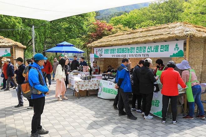 지난해 양평 용문산 산나물 축제 모습. (사진=양평군 제공) *재판매 및 DB 금지 *재판매 및 DB 금지