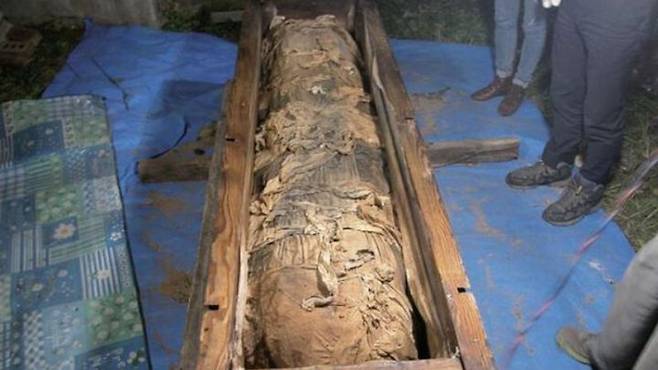 [서울=뉴시스] 10년 전 경북 청도군의 무덤에서 발견된 미라의 주인공이 382년 전 숨진 62세 남성으로 확인됐다 (사진=국립대구박물관) *재판매 및 DB 금지