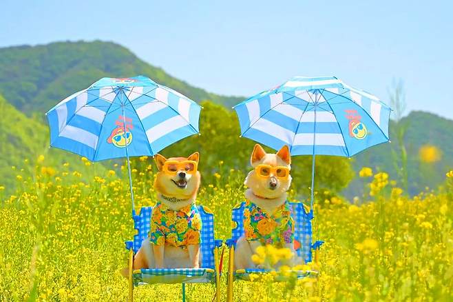 옥천금강수변 친수공원