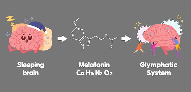 자는 사이에 뇌에서는 글림프 시스템이 작동한다. [사진=코메디닷컴 DB]