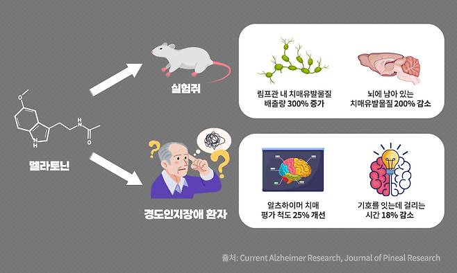 실험쥐에 멜라토닌을 투여 시 쥐 뇌에 남아있는 베타아밀로이드가 200% 이상 감소했고,,경도인지장애 환자들에게 멜라토닌을 복용하게 한 결과 평가 척도가 25% 개선됐다. [사진=코메디닷컴 DB]