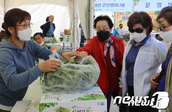 서울양양고속도로 홍천휴게소에 마련된 산나물 판매장에서 관광객들이 산나물을 구매하고 있다. (자료사진)/뉴스1 DB