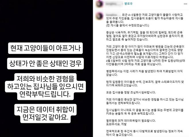 지난 10일 사회관계망서비스(SNS)에는 키우던 고양이 12마리가 동시에 신경·근육병증으로 병원에 입원한 사례가 올라왔다. SNS 갈무리