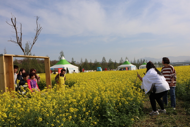 제20회 부산도시농업박람회 개막일인 12일 행사장을 찾은 대만 관광객들이 유채꽃 경관단지에서 사진 촬영을 하고 있다.