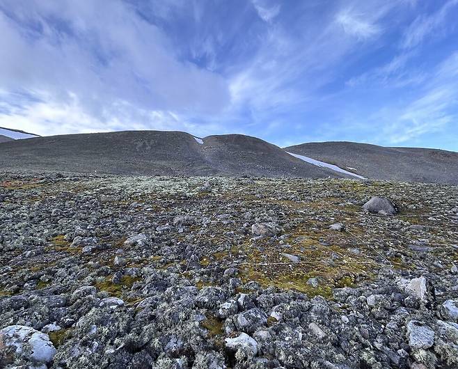 킹조지섬에 펼쳐진 지의류와 이끼들. 과학자들은 변화에 민감한 남극종들을 통해 지구 온난화를 연구 중이다.