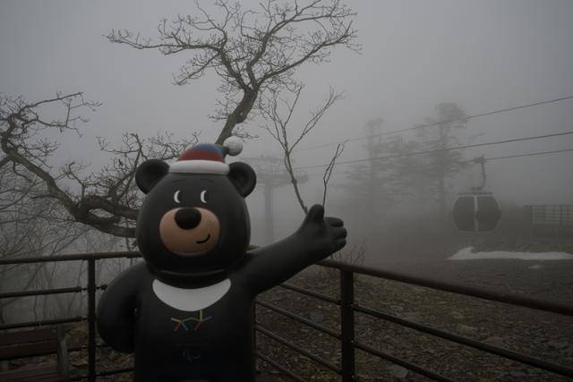 케이블카를 타고 약 22분간 가리왕산 하봉에 오르면 '반다비'와 '수호랑' 같은 올림픽 상징물들이 관광객들을 맞이한다.