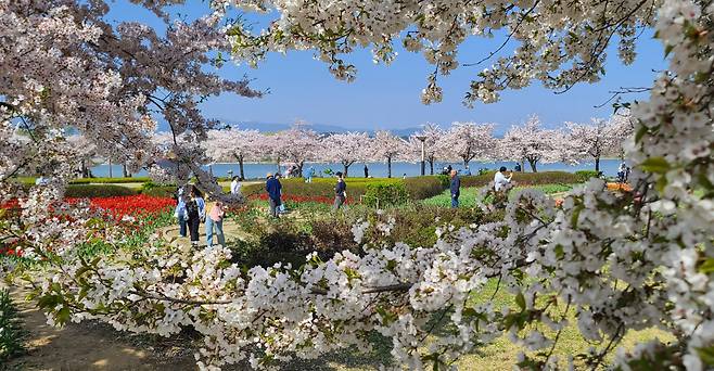 People enjoy the warm weather and take photos at Gyeongpo Lake in Gangwon Province on Saturday. The weather was mild on Saturday across the nation, with cities like Seoul and Daejeon recording as high as 28 degrees Celsius in the afternoon according to the Korea Meteorological Administration. (Yonhap)