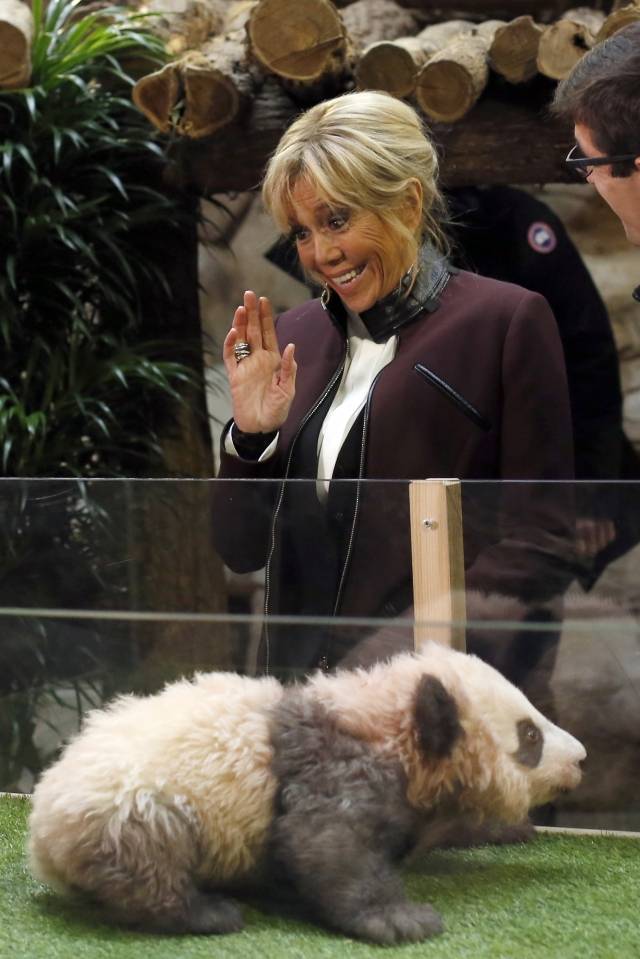프랑스 영부인 브리지트 마크롱 여사가 2017년 12월 4일 생후 4개월이 된 판다 '위안멍'을 지켜보고 있다. AP뉴시스