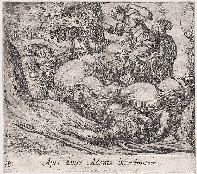 이탈리아 화가 안토니오 템페스타의 1606년 동판화 
‘플레이트 98: 아도니스의 변신’. 사진 출처 뉴욕 메트로폴리탄 미술관 홈페이지