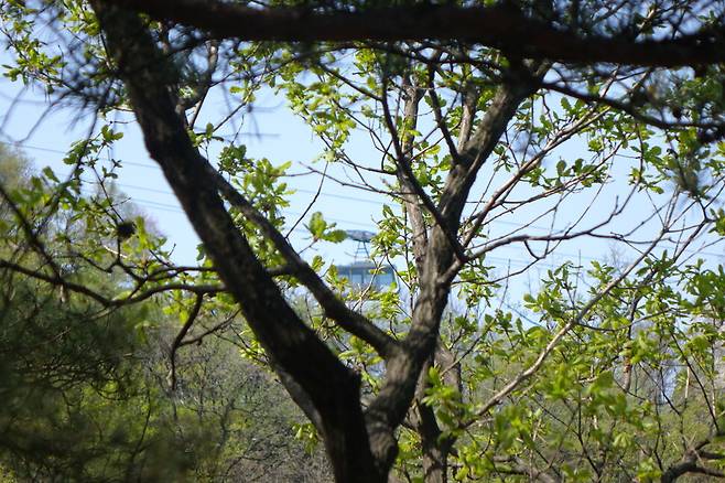 2024년 4월9일 오전 서울 남산 북쪽 비탈에서 서쪽으로 보이는 케이블카. 김양진 기자