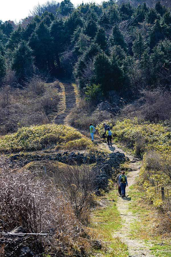 동북쪽 탐방로. 저 무덤 있는 곳이 물웅덩이에서 오른 길과 만나는 삼거리다.