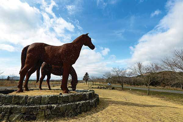조랑말체험공원.