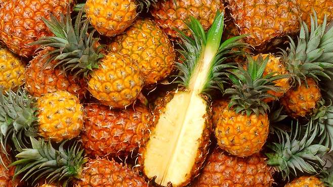 사진출처 : 클립아트코리아