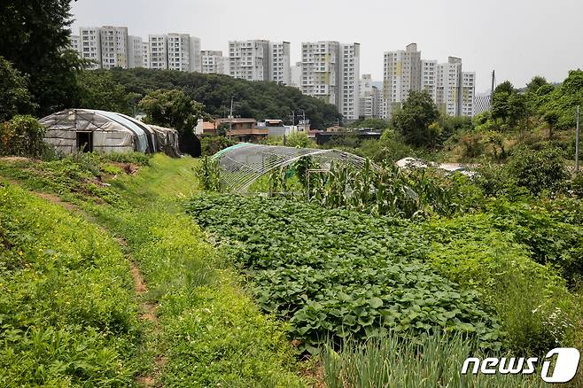 사진은 서울 서초구 내곡동 일대 개발제한구역 너머 보이는 아파트 단지 모습. 2020.7.16/뉴스1 ⓒ News1 유승관 기자