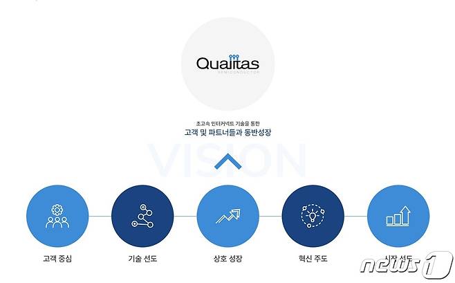 퀄리타스반도체 비전 설명(퀄리타스반도체 홈페이지 갈무리)