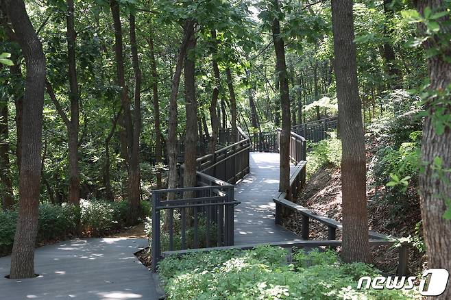 서울 은평구가 편백 무장애숲길을 9.8km로 확대 조성한다.(은평구 제공)