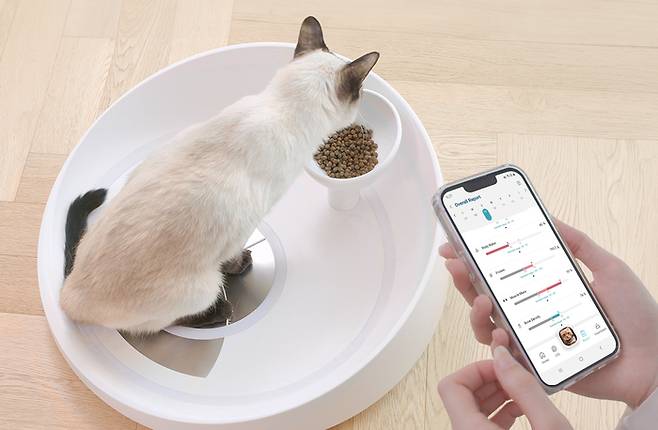 반려동물 헬스케어 서비스 제공 기업 리틀캣은 세계 최초 인공지능(AI) 기반 앱 연동 고양이 체성분 측정기 인펫(INPET)을 올해 출시했다. 사진=리틀캣