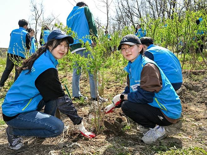 KT&G복지재단의 북한산 나무심기 활동에 참여한 KT&G 임직원과 대학생 자원봉사자가 나무를 심고 있다/ KT&G 제공