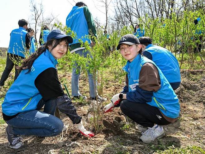 봉사자들이 북한산국립공원에서 나무심기 활동을 하고 있다. KT&G