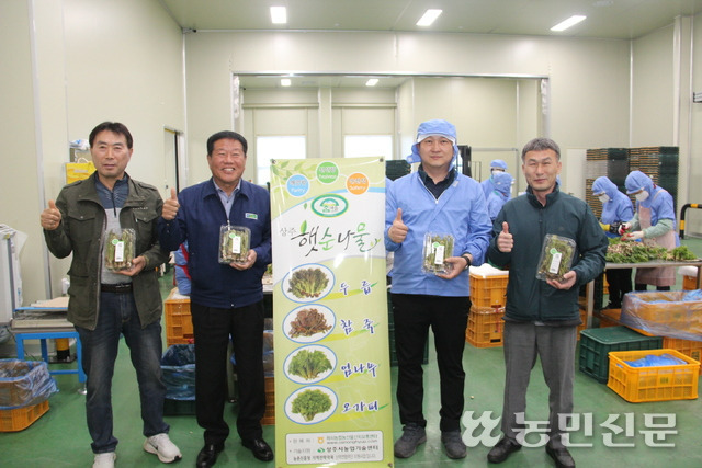 경북 상주 외서농협 김광출 조합장(왼쪽 두번째), 박범현 산지유통센터 소장(맨 오른쪽) 등이 햇순나물을 보여주고 있다.