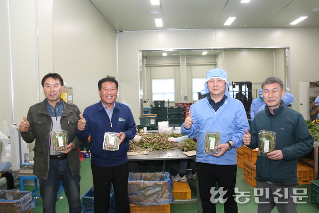경북 상주 외서농협 김광출 조합장(왼쪽 두번째), 박범현 산지유통센터 소장(맨 오른쪽) 등이 햇순나물을 보여주고 있다.