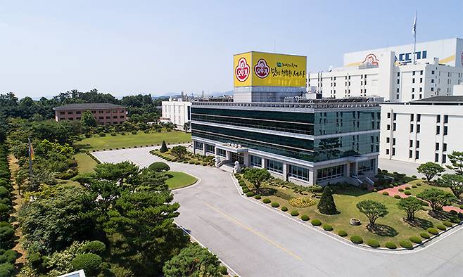 다음달 5일은 오뚜기 창립 55주년이자 오뚜기 카레 출시 55주년이다. 오뚜기 카레는 1969년 5월5일 오뚜기 기업 설립과 함께 최초로 생산된 제품으로, 소비자 니즈에 맞게 라인업을 다양화해왔다. 사진은 오뚜기 최대 생산지인 충북 음성군 대풍공장. 오뚜기 제공