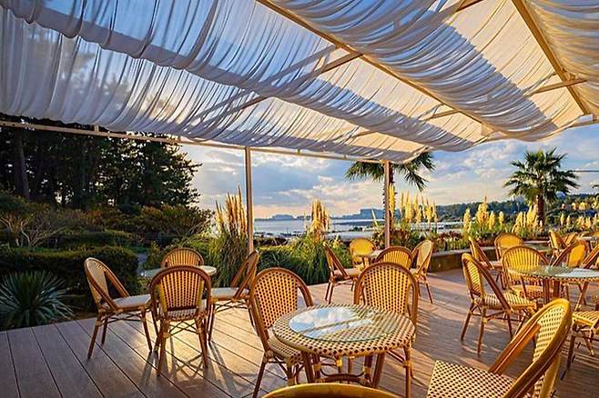 보래드 베이커스