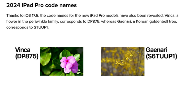 새 아이패드 11인치 모델의 애플 내부 코드명은 한국의 개나리(Gaenari)이다. 사진=9to5mac