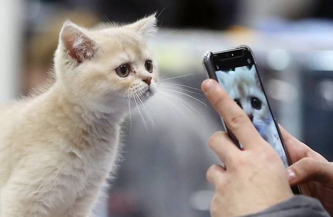 기사의 이해를 돕기 위한 자료 사진. TASS연합뉴스