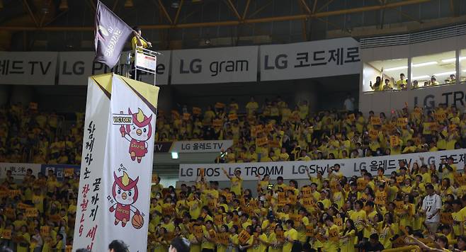 <yonhap photo-5087=""> 농구 도시 창원 (창원=연합뉴스) 김동민 기자 = 18일 오후 경남 창원체육관에서 열린 2023-2024 프로농구 4강 플레이오프(PO) 2차전 창원 LG 세이커스와 수원 kt 소닉붐 경기. LG 팬이 응원하고 있다. 2024.4.18 image@yna.co.kr/2024-04-18 20:31:21/ <저작권자 ⓒ 1980-2024 ㈜연합뉴스. 무단 전재 재배포 금지, AI 학습 및 활용 금지></yonhap>