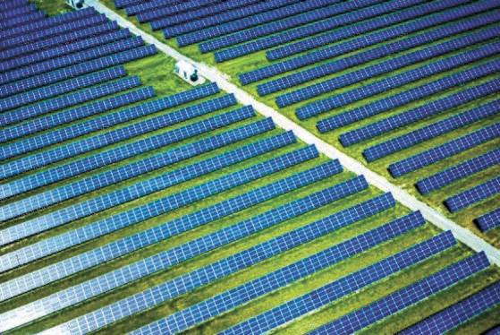 삼성물산 상사부문이 캐나다 온타리오주에 조성한 태양광 발전소 전경. 삼성물산 제공