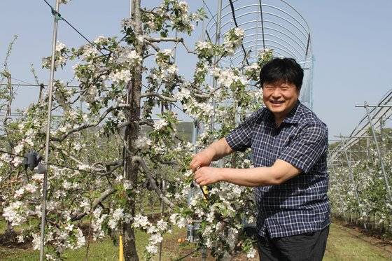 지난 16일 대구시 군위군의 사과연구센터 과수시험장에서 이동혁 센터장이 홍로 품종의 사과꽃을 소개하며 미소를 짓고 있다. 주정완 기자