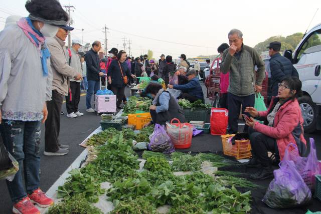 ▲ 원주시 농업인 새벽시장을 찾은 시민들이 신선한 농산물을 고르며 상인들과 가격 흥정을 하고 있다.