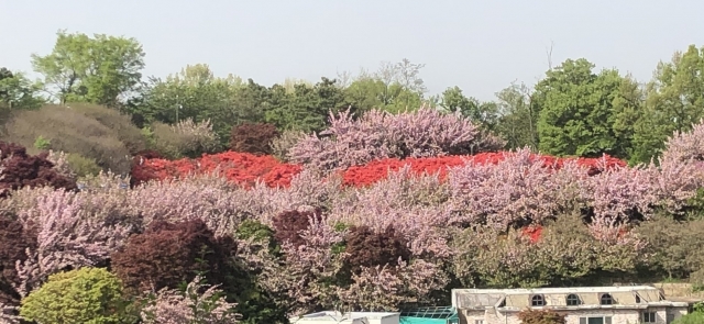 전주 완산공원 꽃동산 전경.