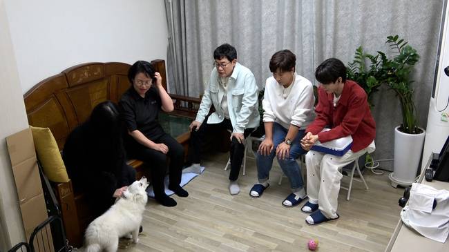 KBS 2TV ‘개는 훌륭하다’ 제공