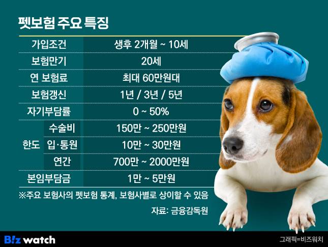 펫보험 주요 특징/그래픽=비즈워치