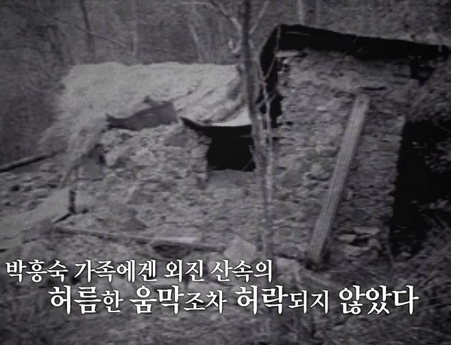소년 박흥숙이 가족을 위해 60일간 지은 산속 움막집. (SBS '꼬리에 꼬리를 무는 그날 이야기')