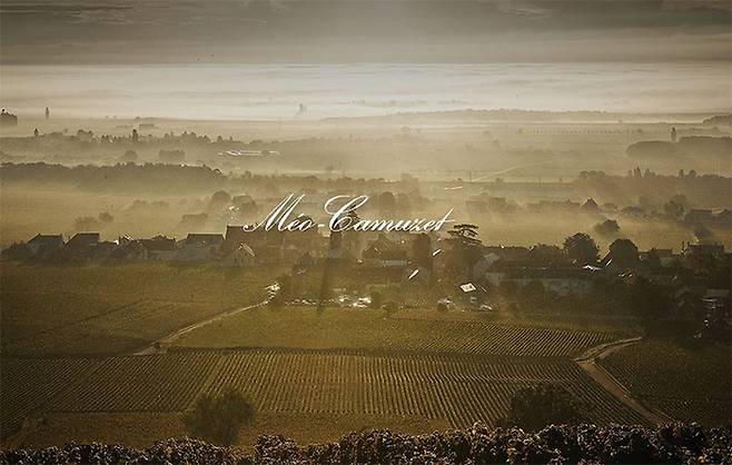 메오 까뮈제 와이너리. [메오 까뮈제 홈페이지 캡쳐]