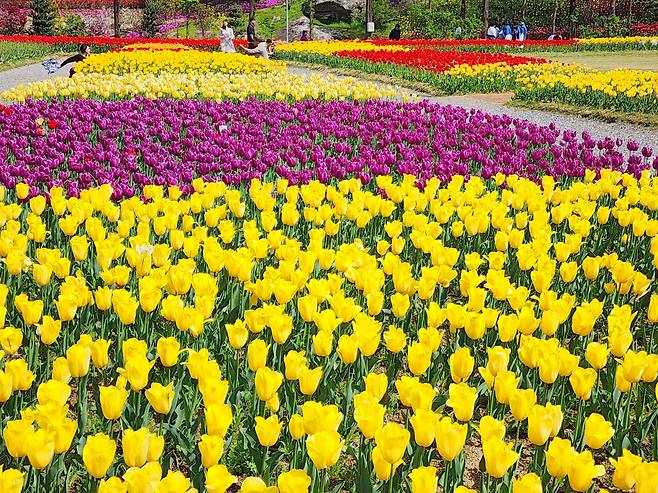 아산 피나클랜드