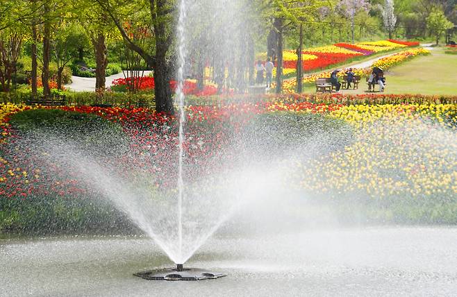 물멍, 꽃멍을 한꺼번에 즐기는 아산 피나클랜드 카페레이크 구역