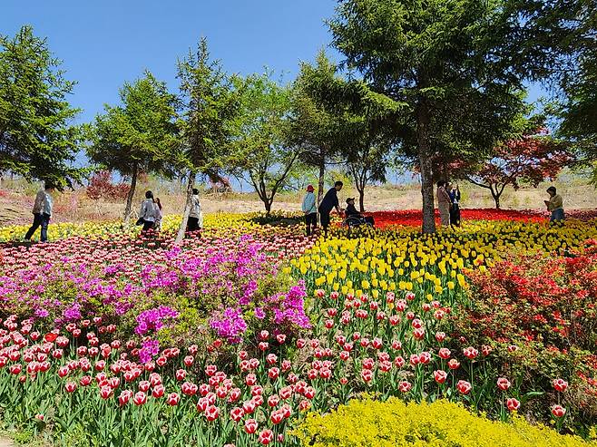 장애인도 편하게 즐기는 무장애 아산 피나클랜드
