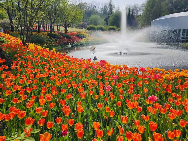 아산 피나클랜드 카페 레이크