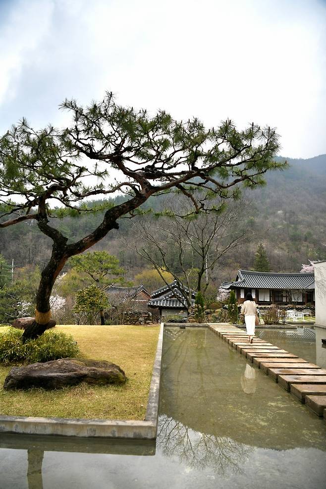 소양고택 두베카페.