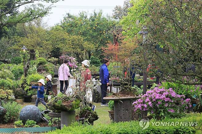 개관 20주년 방림원 찾은 관람객 (제주=연합뉴스) 박지호 기자 = 21일 오전 제주시 한경면 저지리 세계야생화박물관 방림원을 찾은 관람객이 정원을 산책하고 있다.
    국내 첫 세계야생화박물관 방림원은 이날 개관 20주년을 맞았다. 2024.4.21 jihopark@yna.co.kr