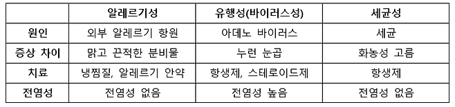 종류별 결막염 비교 [자료=김안과병원]