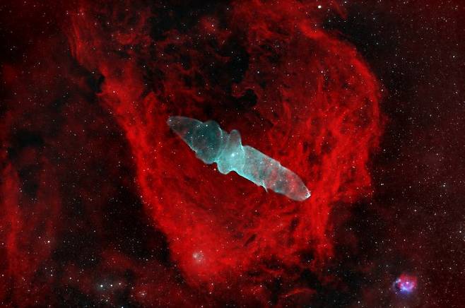 이충현 씨의 'Flying Bat and Squid Nebula'. 세페우스자리 근처에 위치한 오징어 성운과 그 주변에 있는 비행 박쥐 성운을 촬영한 사진이다. 오징어 성운의 경우 매우 어둡기 때문에 노출시간을 24시간 가까이 주어 촬영했다. 천문연 제공