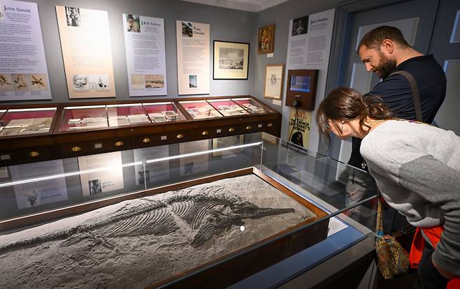 관람객들이 라임 레지스 박물관에 전시된 이크티오사우루스 표본을 바라보고 있다. 이크티오사우르스는 고생물학자 메리 애닝이 최초로 발견한 어룡이다.  게티이미지